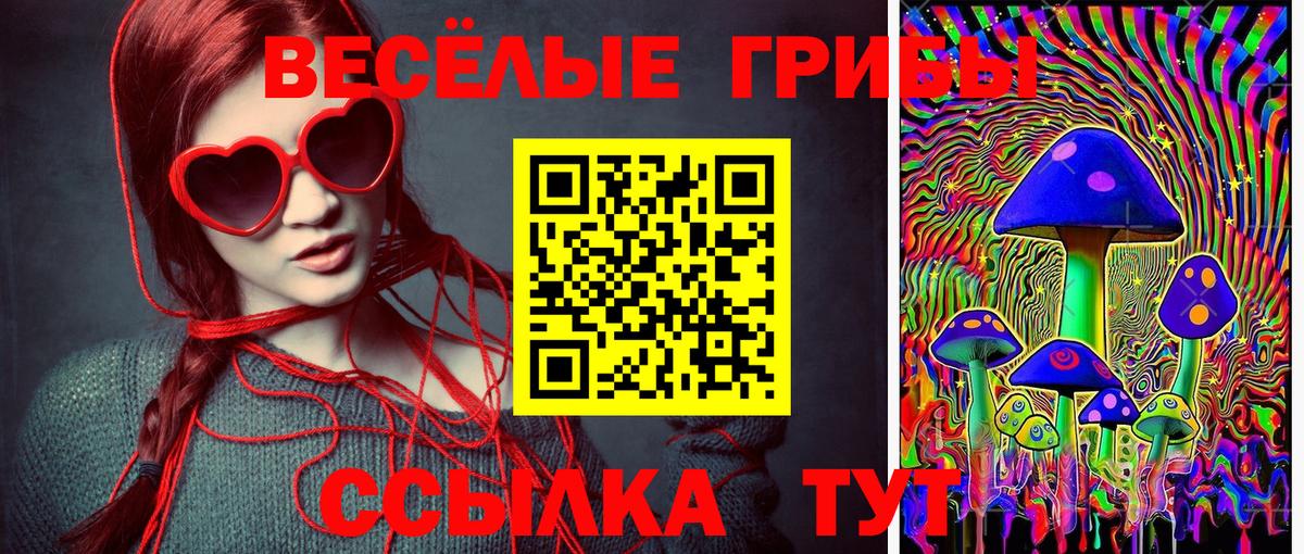 Псилоцибиновые грибы GOLDEN TEACHER  закладки  Владимир  Вход с VPN  Псилоцибиновые грибы ЛСД 