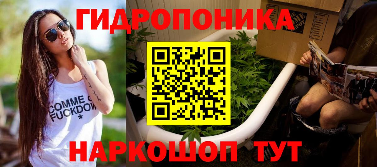 Бошки Шишки SATIVA & INDICA  Вход с VPN  Конопля конопля  Каннабис гибрид  Владимир 