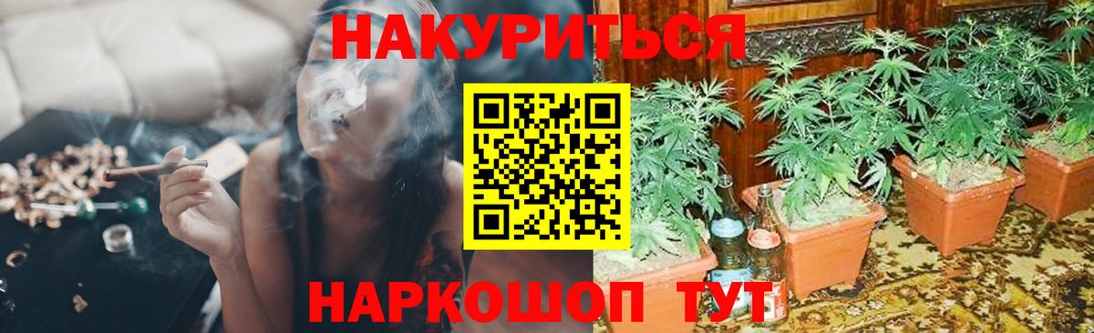 Бошки Шишки план Владимир